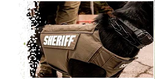 Connecticut police dog gets bulletproof vest