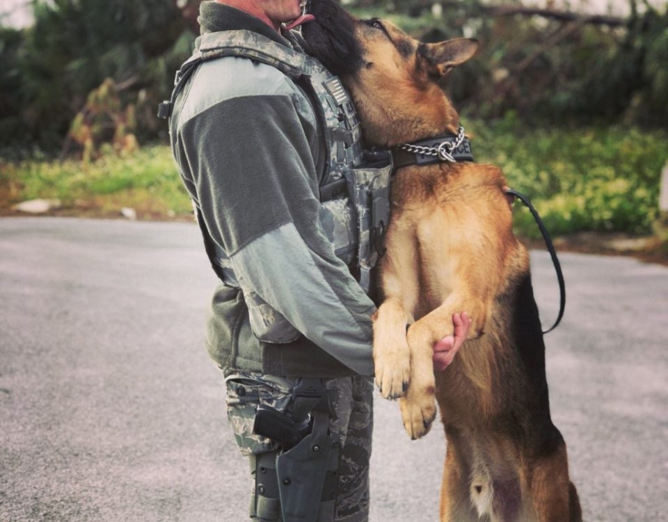 Military man hugs his German Shepherd.