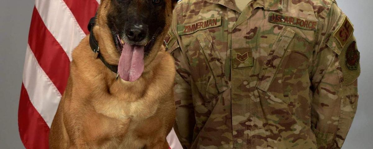 Military man in uniform with a dog.