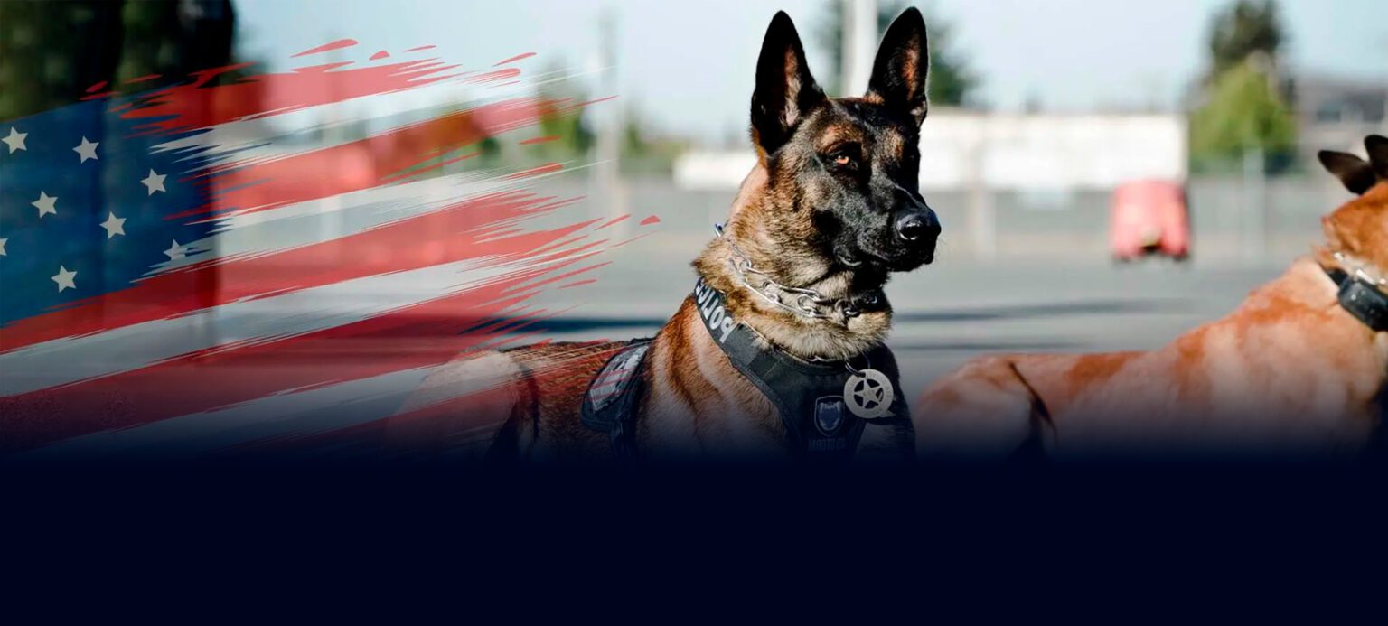 Happy National Police K9 Day! PPAK9 Project Paws Alive