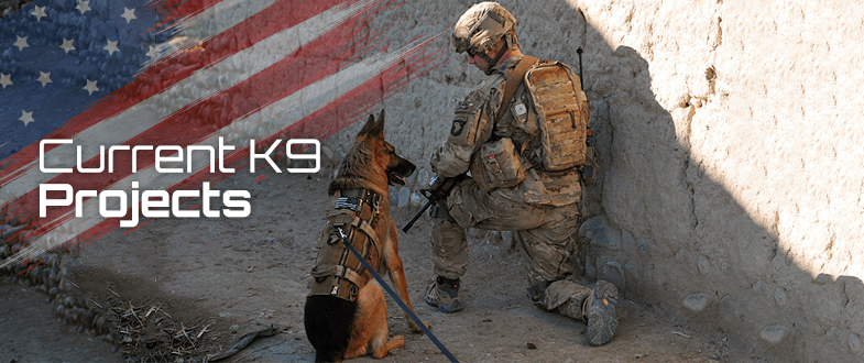 Military dog handler with a K9.