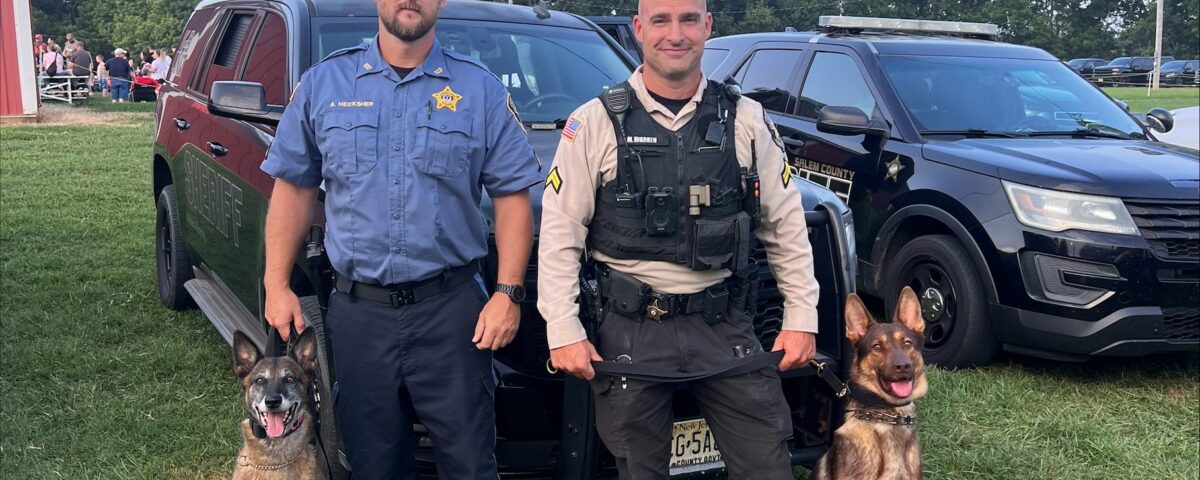 Two K9 handlers standing with their German Shepherd police service dogs beside patrol vehicles