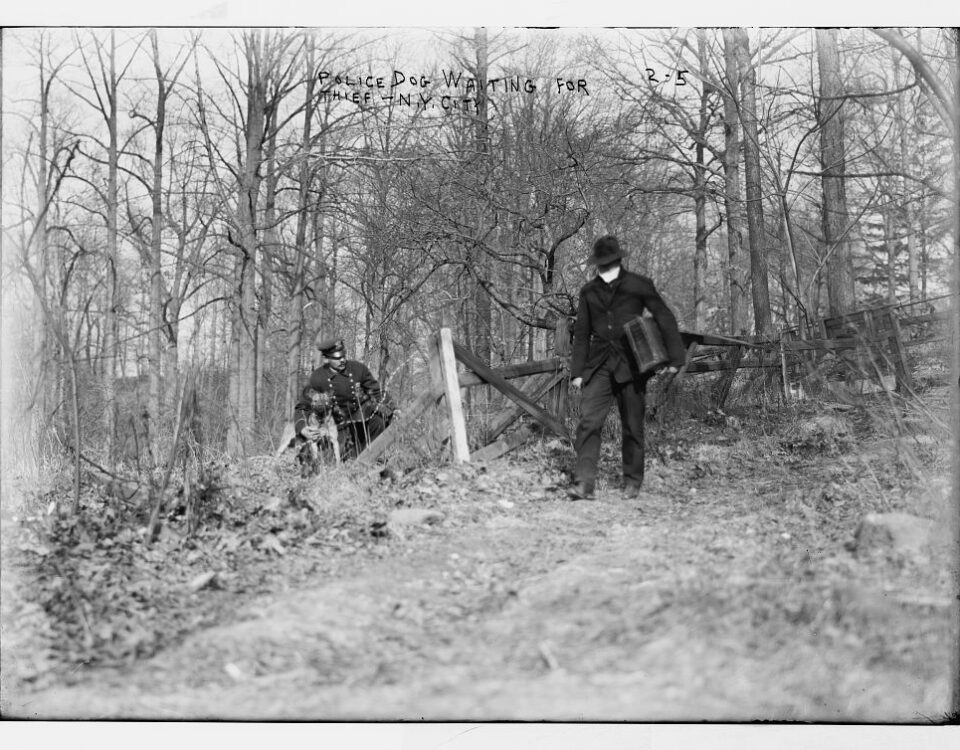 Historic 1912 photo of an NYPD police K9 unit officer and his dog on patrol in New York City