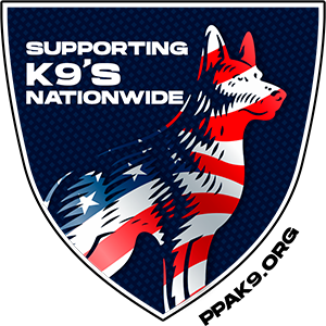 LOGO-header