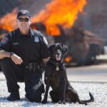 San Antonio arson investigator with a Fire K9 in front of a controlled burn.