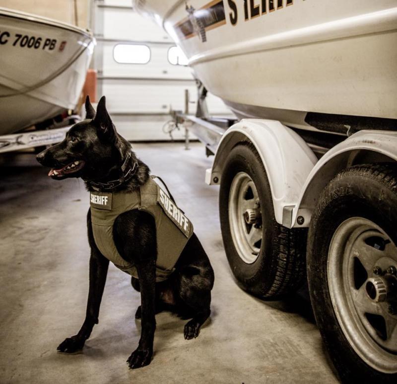 K9 with Project Paws Alive first aid trauma kit beside a Sheriff patrol boat