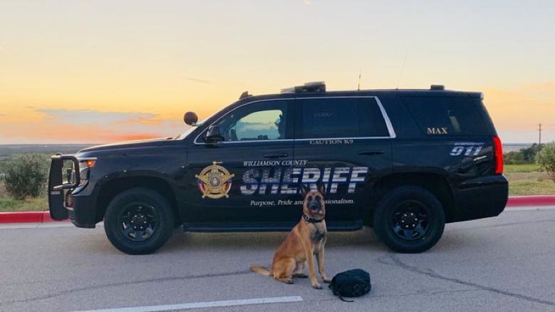 K9 Max of the Williamson County Sheriff's Office beside his patrol vehicle