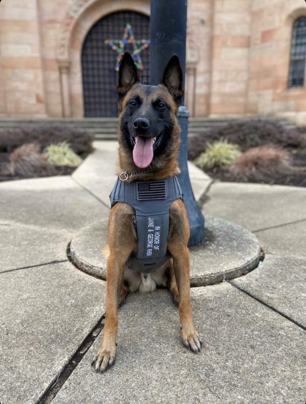 K9 wearing a vest honoring a donor's late husband, provided by Project Paws Alive
