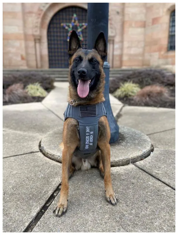 Jane Rhen, K9 handler and Project Paws Alive supporter