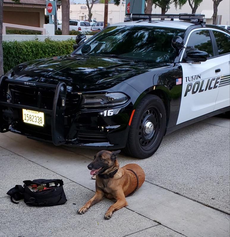 K9 Azzurri of the Tustin Police Department beside her patrol car and trauma kit