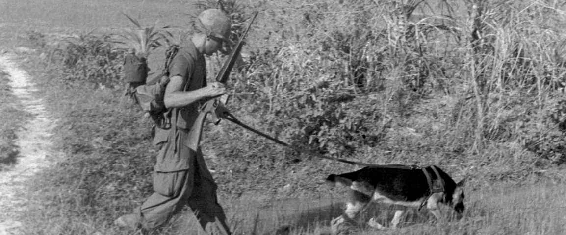U.S. Army soldier on patrol with German shepherd scout dog Chief in Vietnam