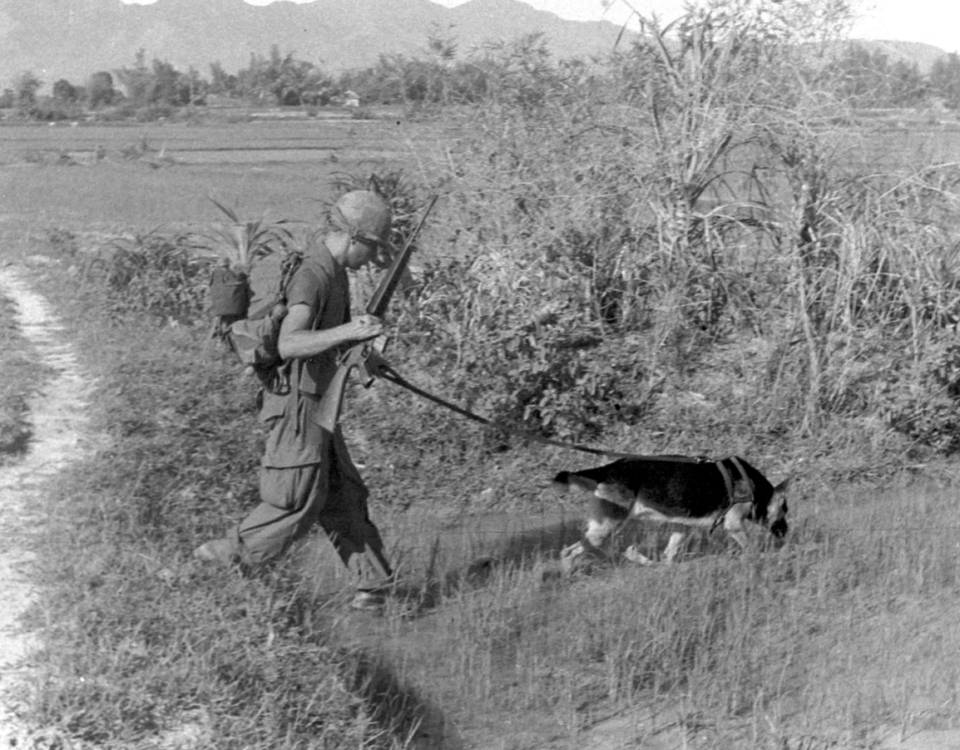 U.S. Army soldier on patrol with German shepherd scout dog Chief in Vietnam
