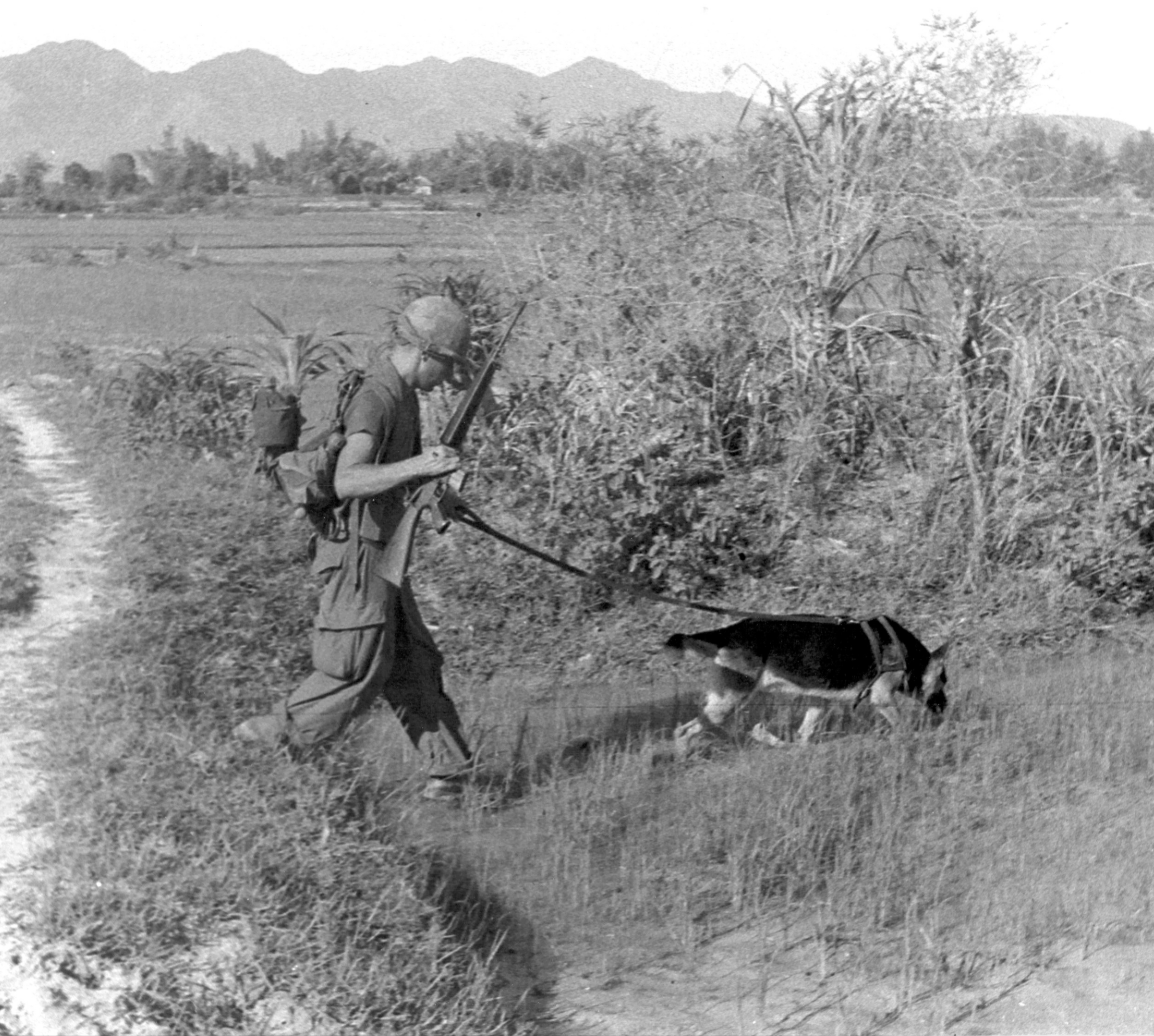 U.S. Army soldier on patrol with German shepherd scout dog Chief in Vietnam