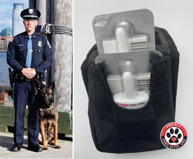 K9 Bolo of the Marlboro Township Police Department with his Narcan kit