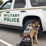Military working dog in camo tactical vest with a PPAK9 first aid kit in front of a Military Police vehicle — Project Paws Alive