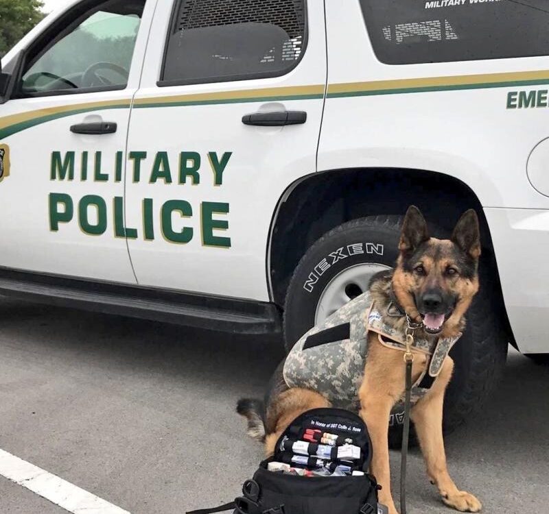 Military working dog in camo tactical vest with a PPAK9 first aid kit in front of a Military Police vehicle — Project Paws Alive