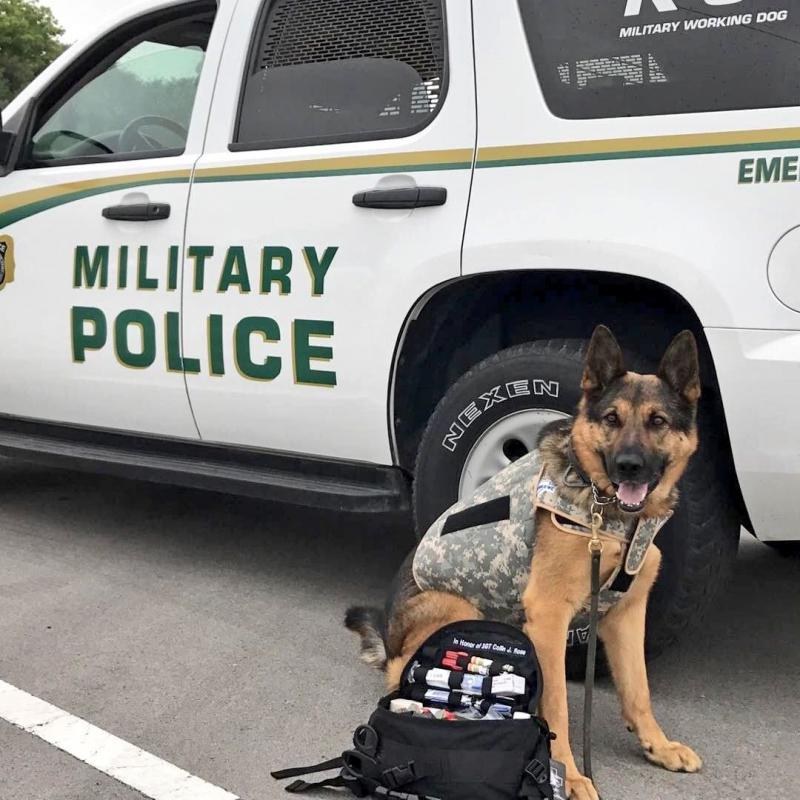 Military working dog wearing a tactical vest beside a Military Police patrol vehicle