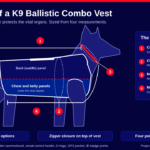 Diagram of a K9 ballistic combo vest fitted snugly on a dog, showing four measurements: center back length, chest circumference, neck circumference, and neck to belly length, with the chest and belly panels shaded.
