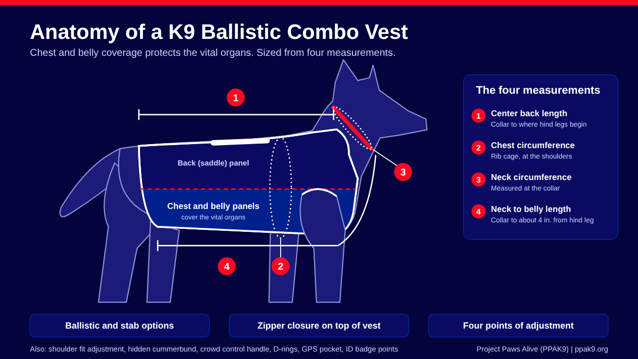 Diagram of a K9 ballistic combo vest fitted snugly on a dog, showing four measurements: center back length, chest circumference, neck circumference, and neck to belly length, with the chest and belly panels shaded.